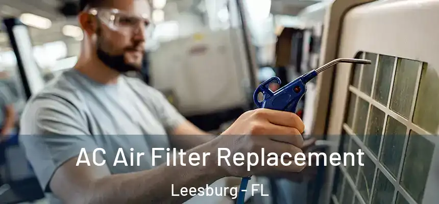  AC Air Filter Replacement Leesburg - FL