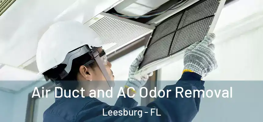 Air Duct and AC Odor Removal Leesburg - FL