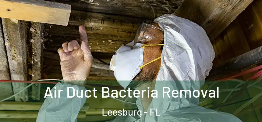 Air Duct Bacteria Removal Leesburg - FL