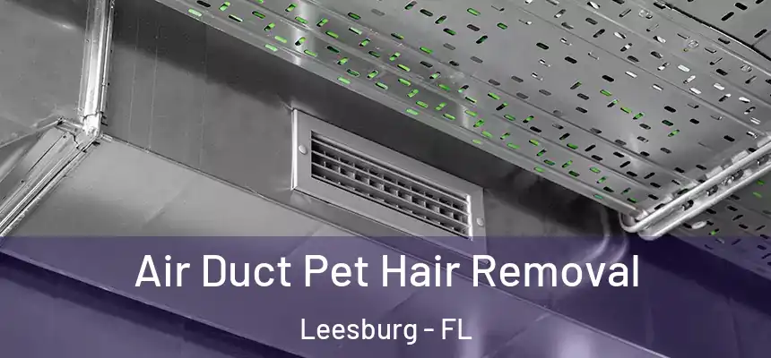 Air Duct Pet Hair Removal Leesburg - FL