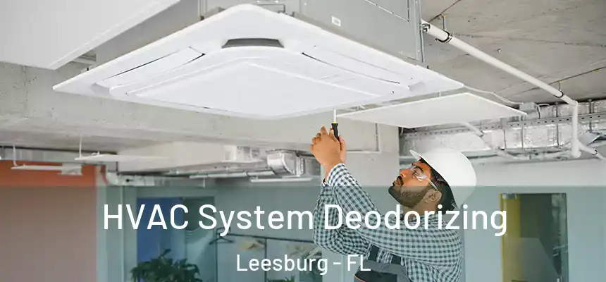 HVAC System Deodorizing Leesburg - FL