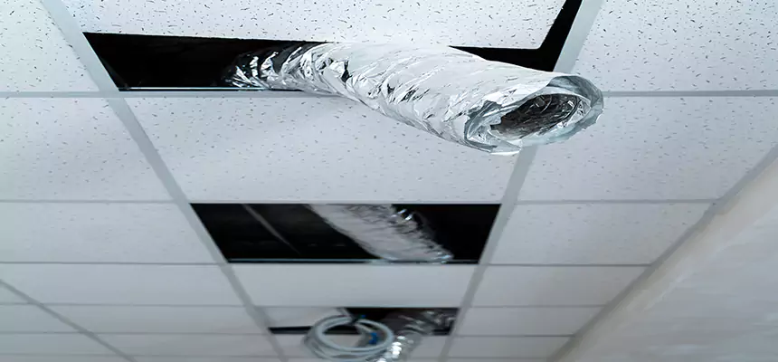 Our Air Duct Pet Hair Removal Services in Leesburg, FL