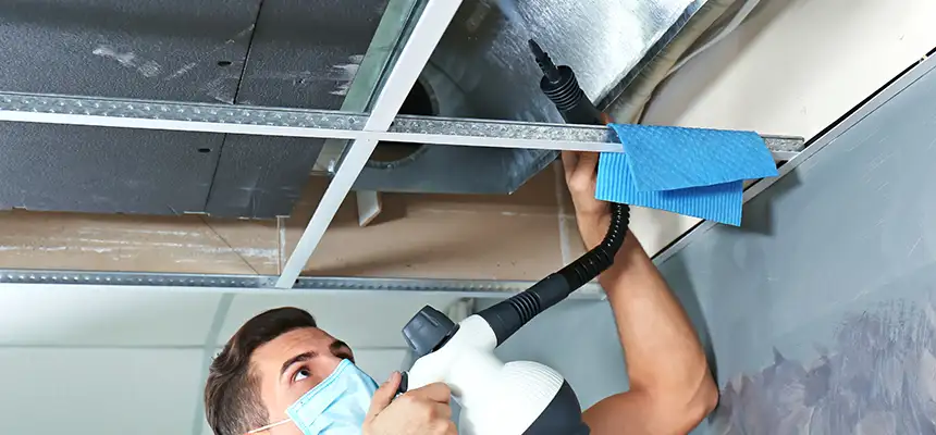 Our Air Duct Rodent Removal Services in Leesburg, FL