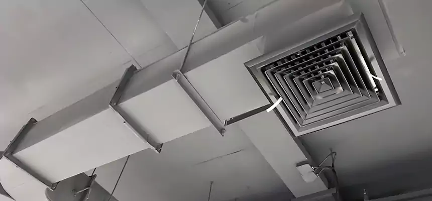 Restorative Allergy Relief Vent Cleaning – Coil, Blower & Housing Detail in Leesburg