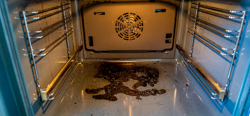 Our Dryer Vent Mold Cleaning Services in Leesburg, FL