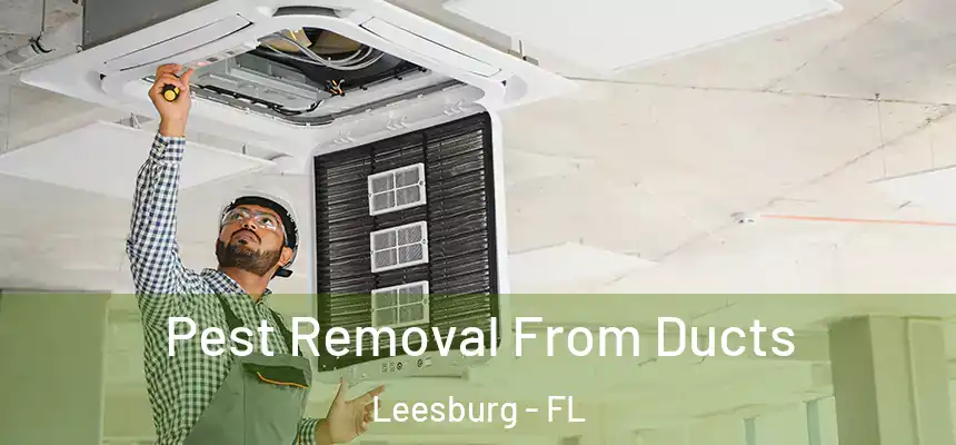 Pest Removal From Ducts Leesburg - FL