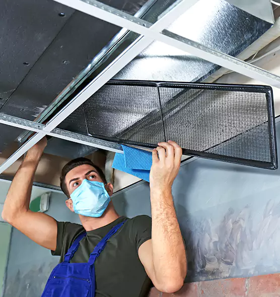 About Air Duct Bacteria Removal in Leesburg