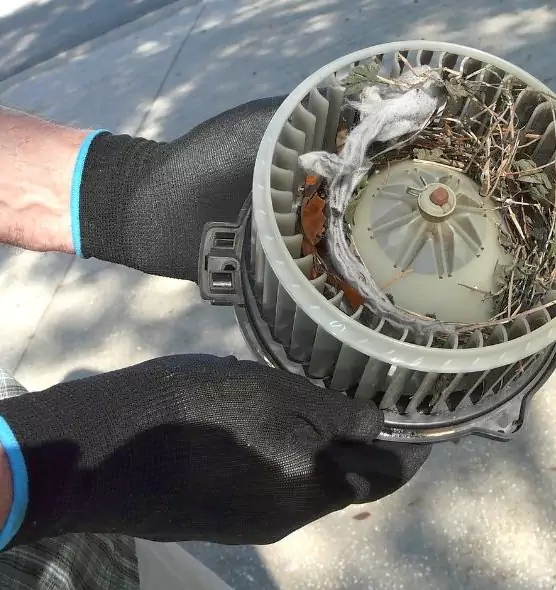 About Air Duct Rat Removal in Leesburg, FL