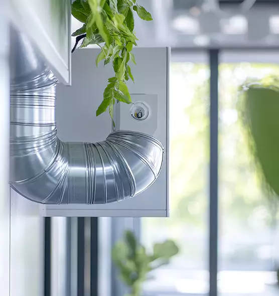 Professional Eco-Friendly Duct Cleaning Services in Leesburg, FL