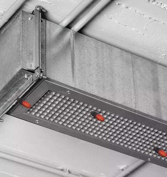 Affordable Insect Removal from Air Ducts in Leesburg, FL