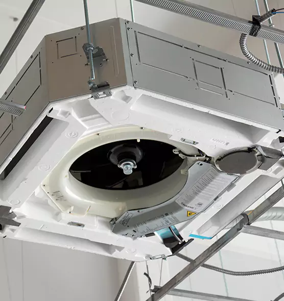 Professional Roof Vent Lint Removal Leesburg, FL