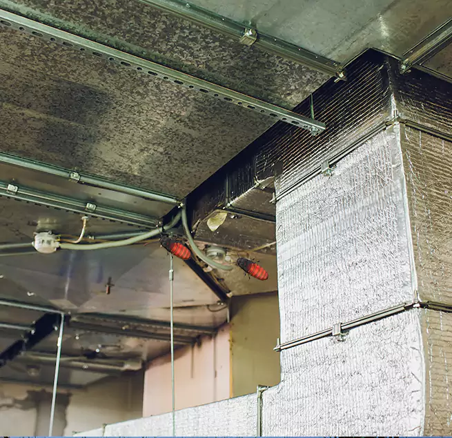 Why Homeowners & Businesses Trust Us in Leesburg, FL?