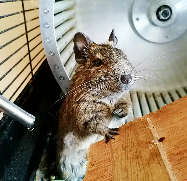 Why Homeowners & Businesses Trust Us Leesburg, FL