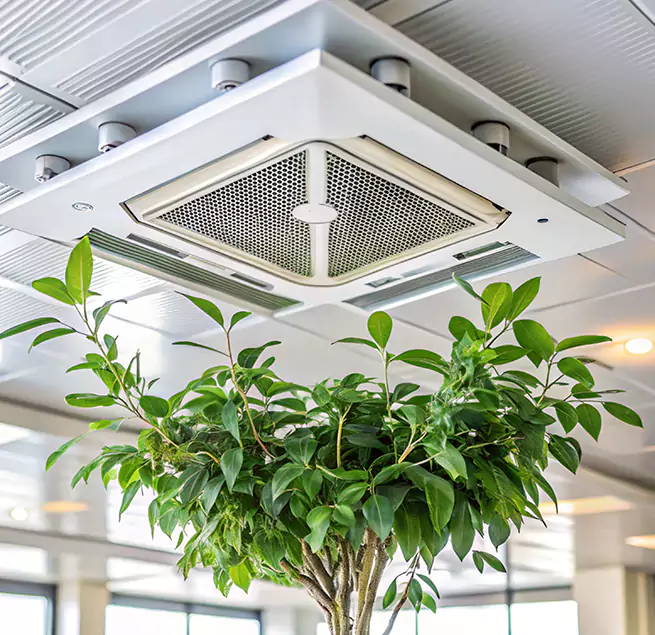 Why Homeowners & Businesses Trust Us in Leesburg, FL?