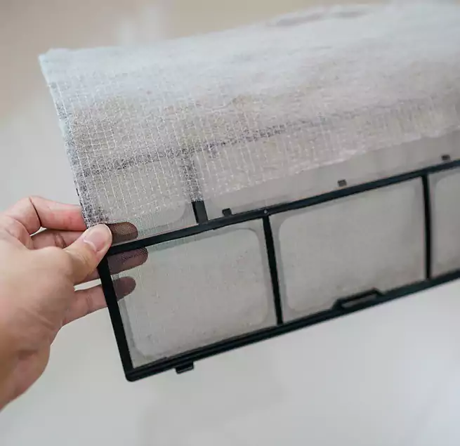 Why Homeowners & Businesses Trust Us in Leesburg, FL?