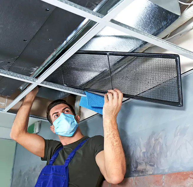  Why Homeowners Businesses Trust Us  in Leesburg, FL?